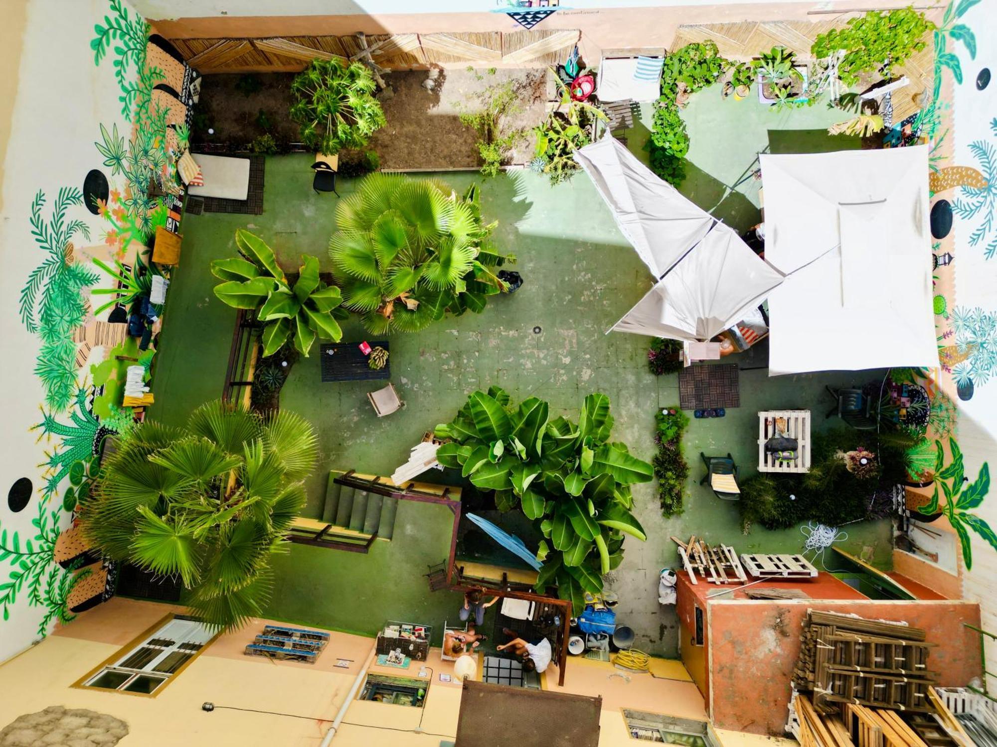大加那利岛拉斯帕尔马斯 Jungle House旅舍 外观 照片